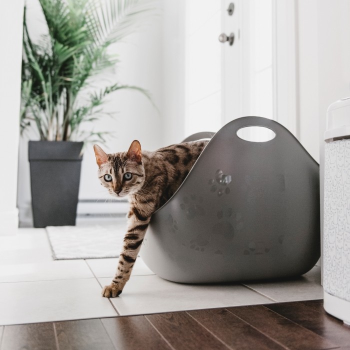 Litière chat, maison de toilette - Bac à litière Litter Genie avec pelle - Gris pour chats