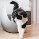 Litière chat, maison de toilette - Bac à litière LitterBox avec pelle pour chats