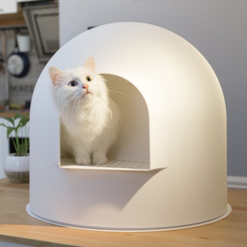 Litière chat, maison de toilette - L'Igloo pour chats