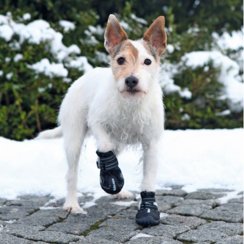 Sécurité et protection - Bottes de protection Walker Active pour chiens
