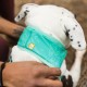Manteau & compagnie - Tour de cou rafraîchissant Swamp Cooler pour chiens