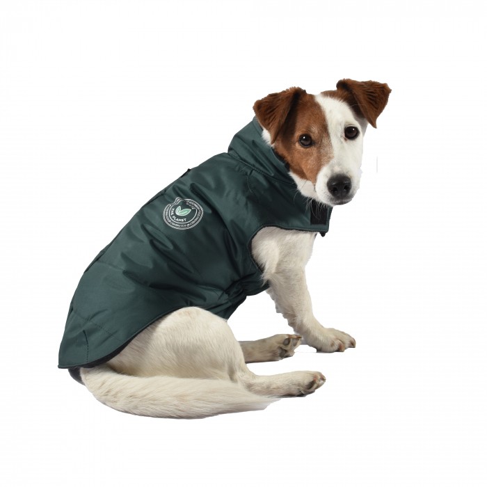Manteau & compagnie - Doudoune Green - Vert pour chiens