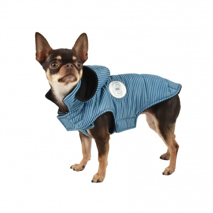 Manteau & compagnie - Doudoune Rayé - Bleu pour chiens
