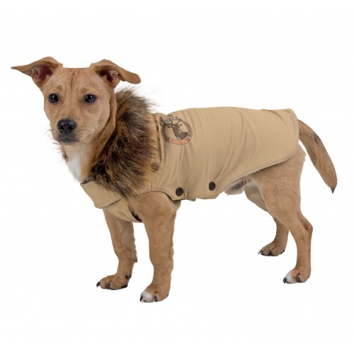 veste pour chien