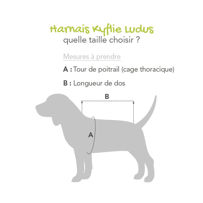 Manteau & compagnie - Pull Lillehammer pour chiens