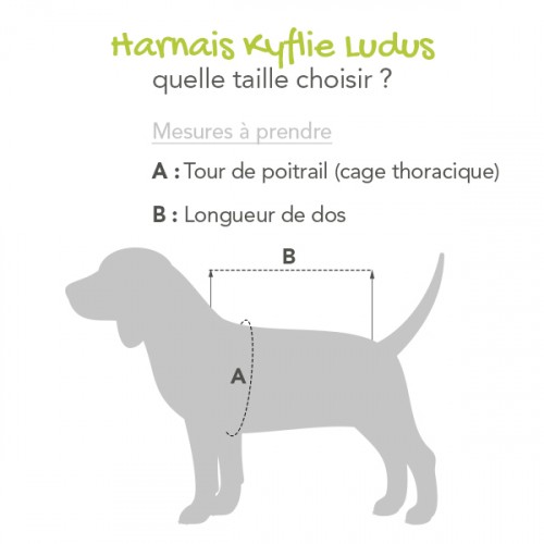 Manteau & compagnie - Imperméable Tarbes pour chiens