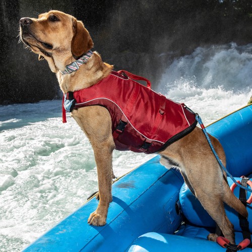 Sécurité et protection - Gilet de flottaison Surf N Turf pour chiens