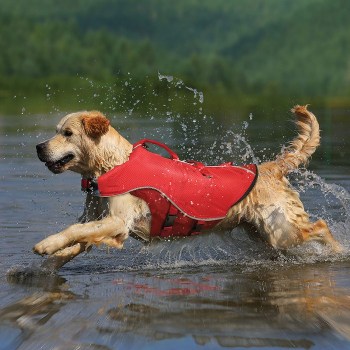 Sécurité et protection - Gilet de flottaison Surf N Turf pour chiens