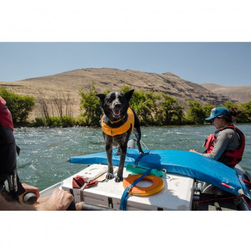 Sécurité et protection - Gilet de sauvetage Float Coat™ - Orange pour chiens