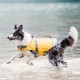 Sécurité et protection - Gilet flottant Life Savior pour chiens
