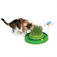 Aire de jeu pour chat - Circuit Bee Play & Garden Cat It