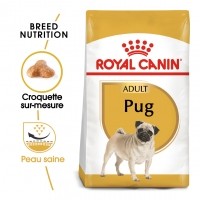 Croquettes pour chien - Royal Canin Carlin Adult (Pug) - Croquettes pour chien Carlin (Pug)