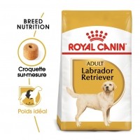 Croquettes pour labrador de + de 15 mois - Royal Canin Labrador Retriever Adult - Croquettes pour chien Labrador Retriever Adulte