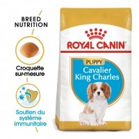 Croquettes pour chien - Royal Canin Cavalier King Charles Puppy - Croquettes pour chiot Cavalier King Charles Junior