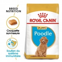 Croquettes pour chien - Royal Canin Caniche Puppy (Poodle) Caniche (Poodle) Junior