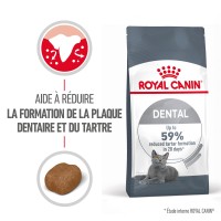 Croquettes pour chat - Royal Canin Oral Care Oral Care