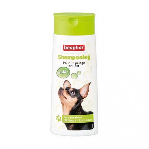 Shampooing et toilettage - Shampooing brillance pour pelage éclatant pour chiens