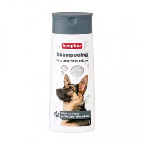 Shampooing et toilettage - Shampooing antipelliculaire pour chiens