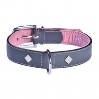 Collier pour chien - Collier Tomy - Gris Bobby