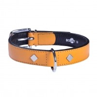 Collier pour chien - Collier Tomy - Moutarde Bobby