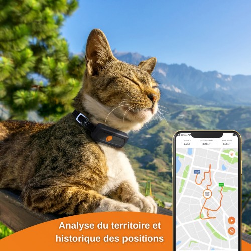 Chatière, sécurité, anti-fugue - Collier GPS Wennect XS Cats - Noir pour chats