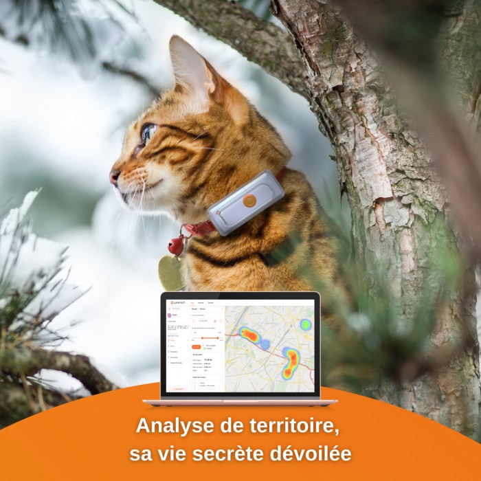Chatière, sécurité, anti-fugue - Traceur GPS Cats 2 pour chats