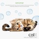 Stress, comportement chat - Bulles d'herbe à chat pour chats
