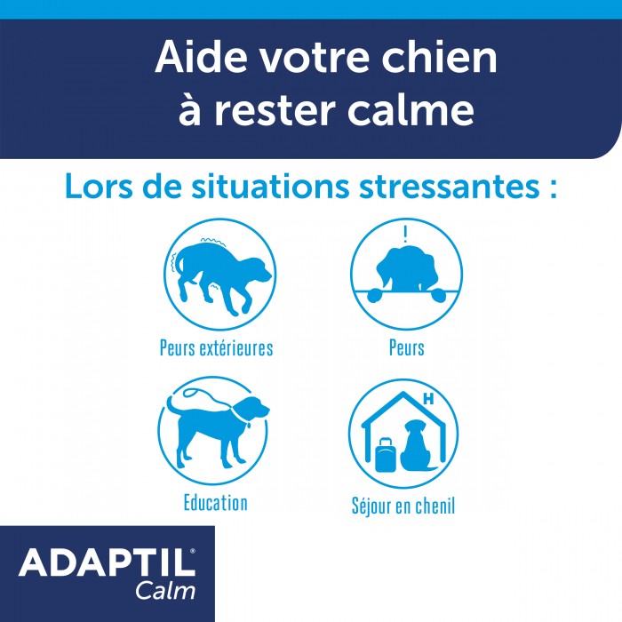 Stress, comportement chien - ADAPTIL® Calm collier pour chiens