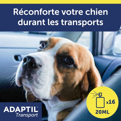 Stress, comportement chien - ADAPTIL® Transport pour chiens