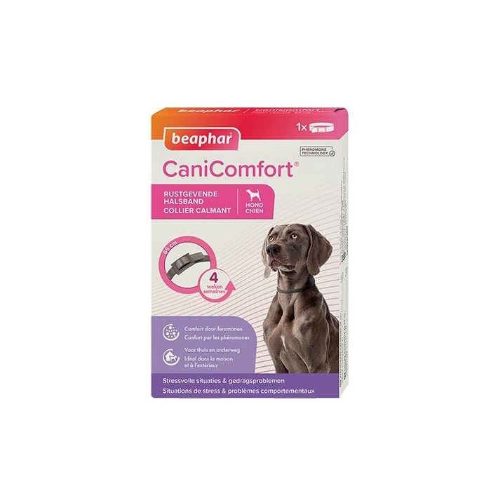 Stress, comportement chien - Collier CaniComfort® pour chiens