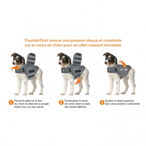 Stress, comportement chien - Thundershirt - gilet de compression relaxant pour chiens