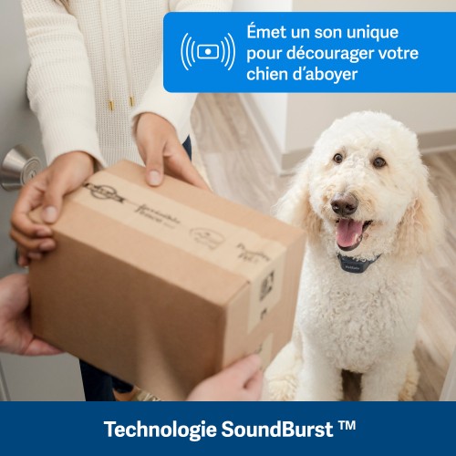 Stress, comportement chien - Collier anti-aboiement à signal sonore rechargeable pour chiens