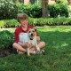 Stress, comportement chien - Collier anti-aboiement Dog Spray Compact pour chiens