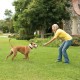 Stress, comportement chien - Clôture sans fil Stay & Play pour chiens