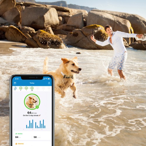 Sécurité et protection - Traceur GPS 4 pour chien pour chiens