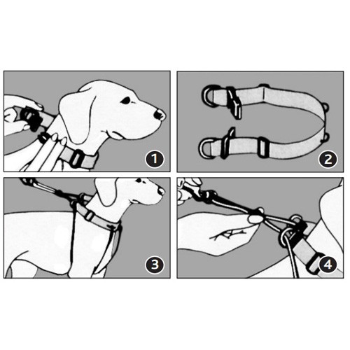 Collier, laisse et harnais - Harnais anti-traction pour chiens