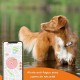 Sécurité et protection - Collier GPS Weenect XS Dogs - Blanc pour chiens