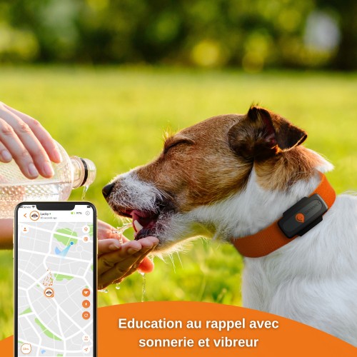 Sécurité et protection - Collier GPS Weenect XS Dogs - Noir pour chiens