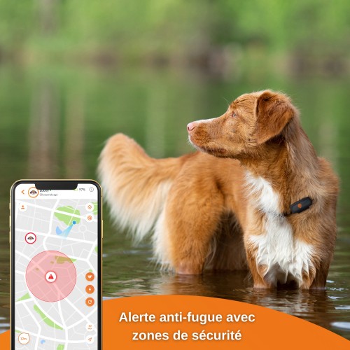 Sécurité et protection - Collier GPS Weenect XS Dogs - Noir pour chiens