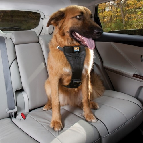 Transport du chien - Harnais de sécurité auto Tru-Fit Smart - Noir pour chiens