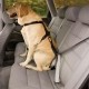 Transport du chien - Harnais de sécurité auto Tru-Fit Smart - Noir pour chiens