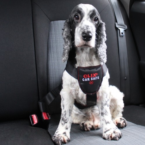 Transport du chien - Harnais de voiture Clix Car Safe pour chiens