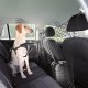 Transport du chien - Filet de séparation voiture pour chien pour chiens