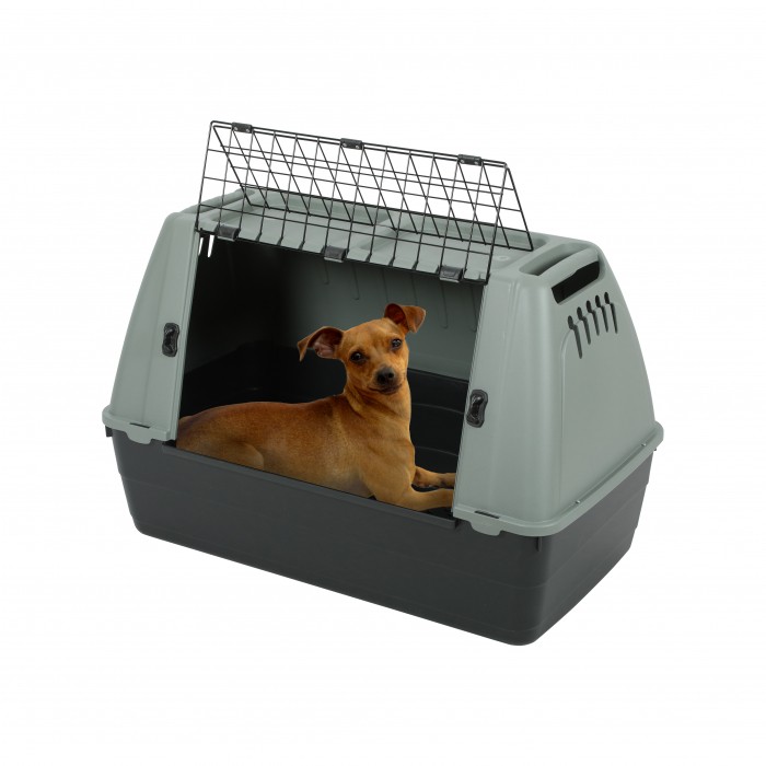 Transport du chien - Caisse de coffre Travel Cage pour chiens