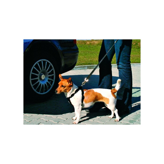 Transport du chien - Laisse courte, sécurité auto pour chiens