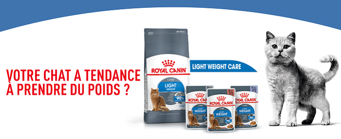 Votre chat  tendance à prendre du poids ?