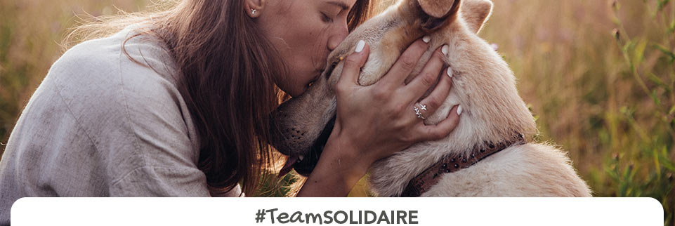 team solidaire