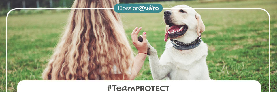 TeamPROTECT