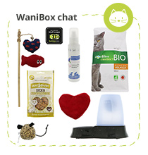 WaniBox chat