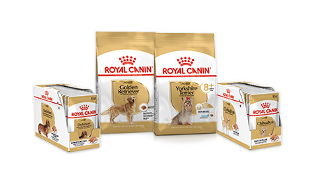 Croquette chat Royal Canin : la qualité vétérinaire - Wanimo